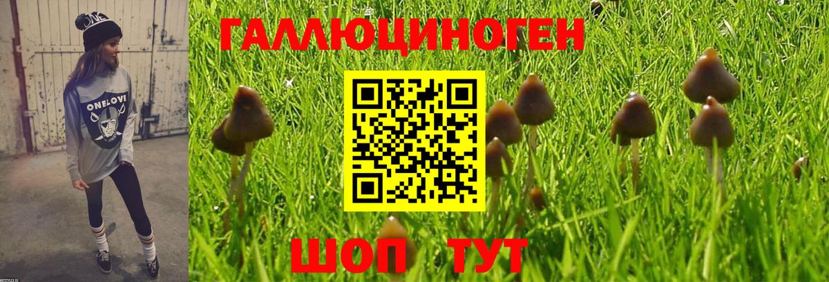 Псилоцибиновые грибы ЛСД Нурлат
